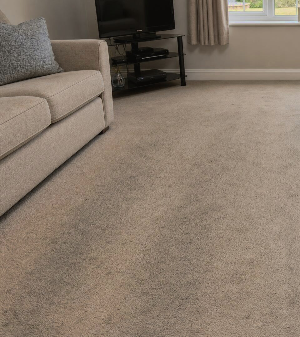 Living room carpet looking dull and marked by traffic lanes before cleaning